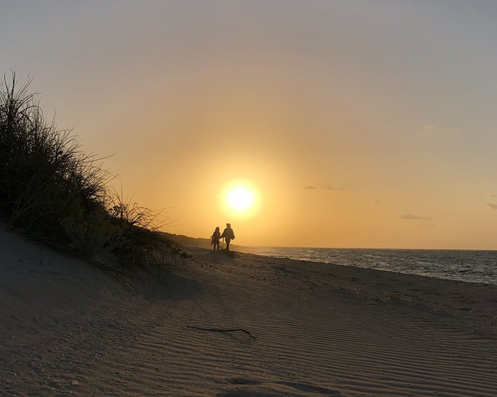 Beach at sunset